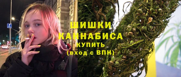 шишки Белокуриха