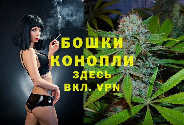 шишки Белокуриха