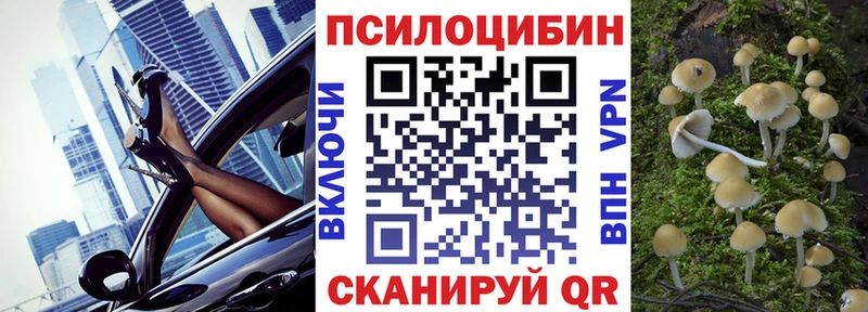 Псилоцибиновые грибы Cubensis  Волчанск 
